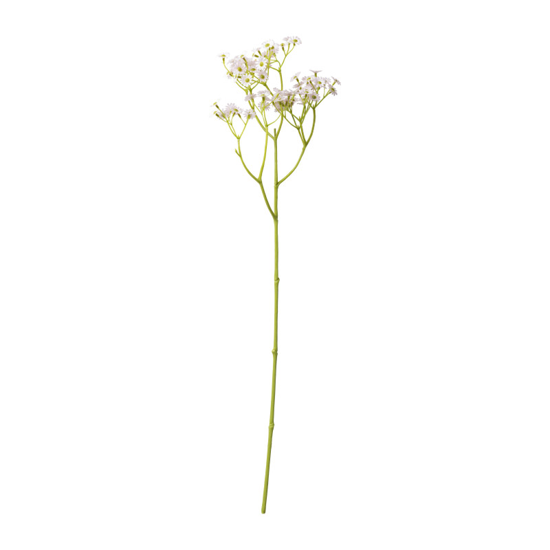Madeliefje - diverse varianten - 60 cm