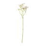 Madeliefje - diverse varianten - 60 cm