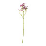 Madeliefje - diverse varianten - 60 cm
