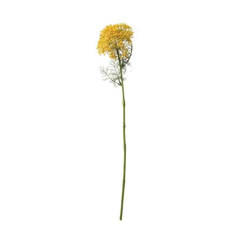 Berenklauw - diverse varianten - 66 cm