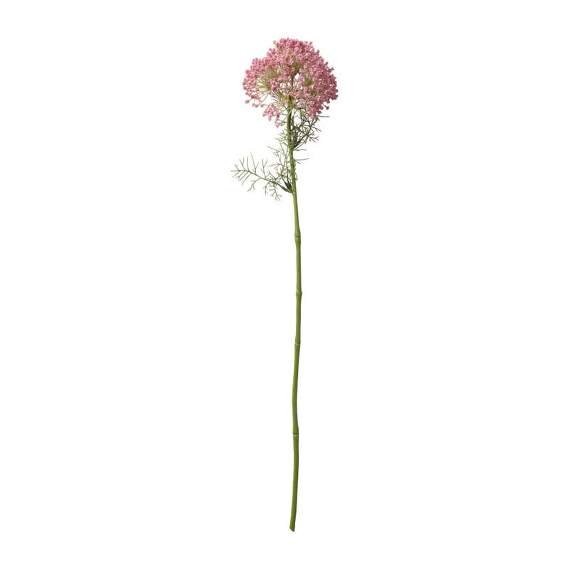 Berenklauw - diverse varianten - 66 cm