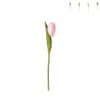 Kunstbloem tulp - multikleur - 30 cm - diverse varianten