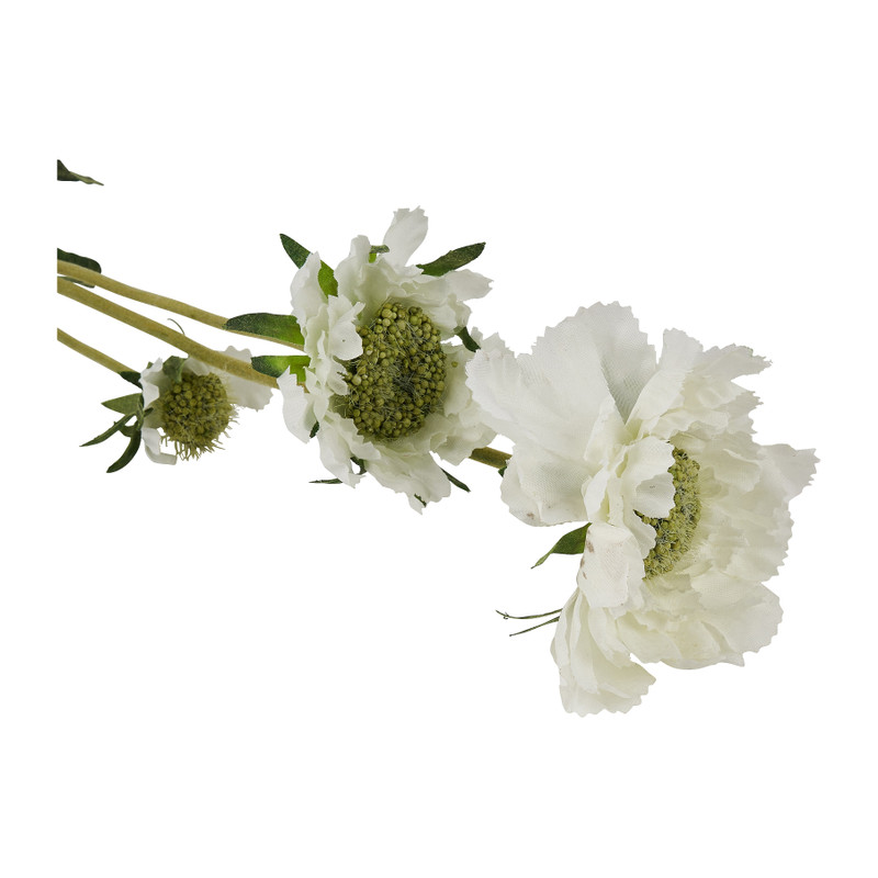 Veldbloem - diverse kleuren - 63 cm