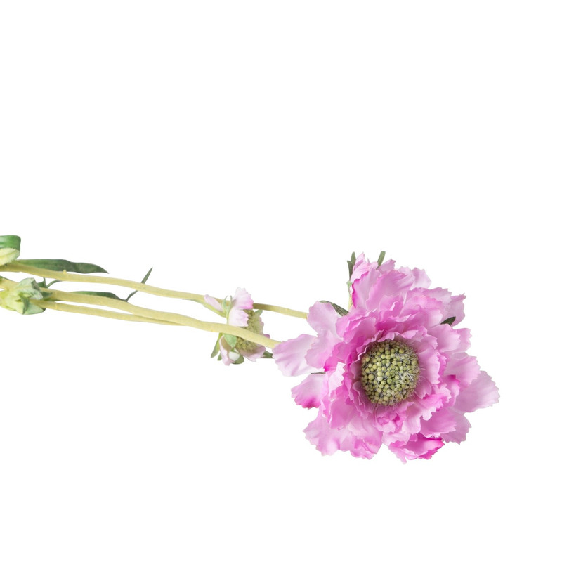 Veldbloem - diverse kleuren - 63 cm