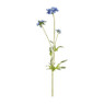 Veldbloem - diverse kleuren - 63 cm