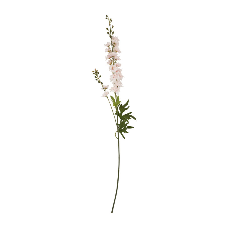 Ridderspoor - roze - 77 cm