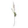 Ridderspoor - roze - 77 cm