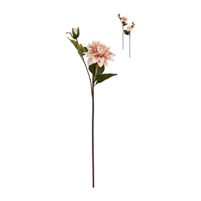 Grootbloemige dahlia - verschillende kleuren - 63 cm