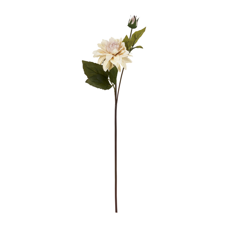 Grootbloemige dahlia - verschillende kleuren - 63 cm