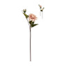 Grootbloemige dahlia - verschillende kleuren - 63 cm