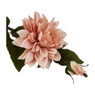 Grootbloemige dahlia - verschillende kleuren - 63 cm
