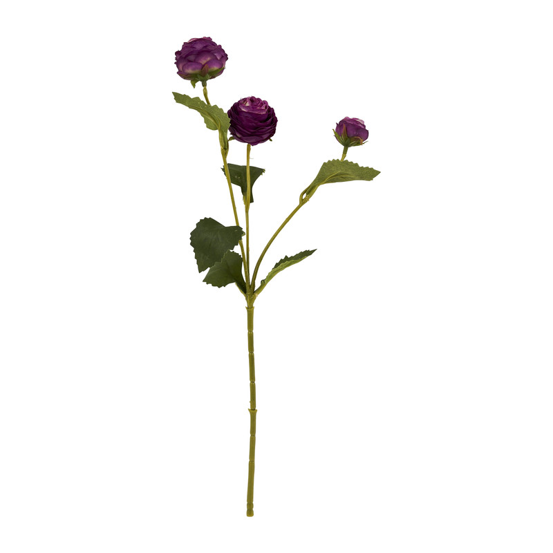 Ranonkel - paars - 41 cm