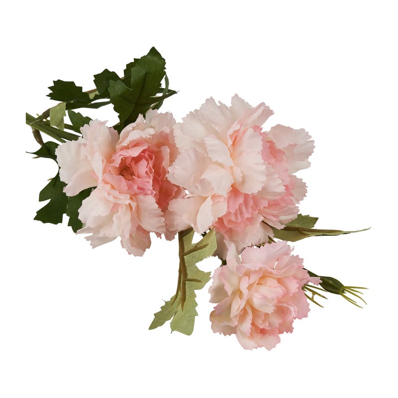 Anjer - verschillende kleuren - 46 cm