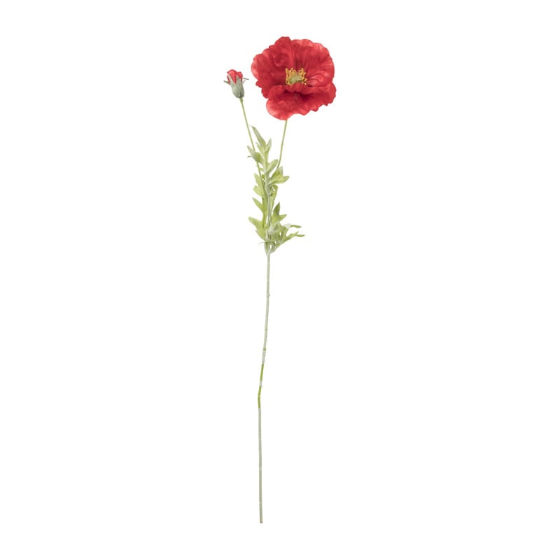 Klaproos - rood/oranje - 58 cm 