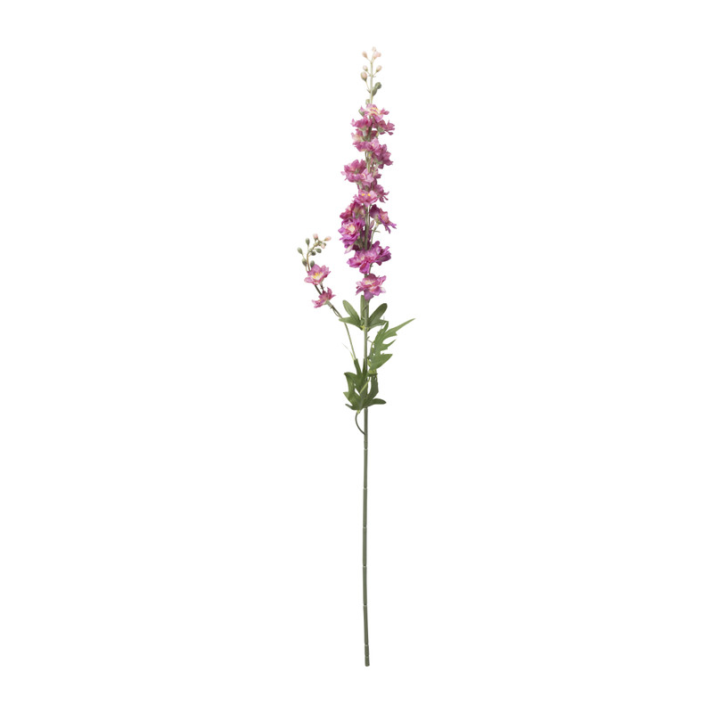 Ridderspoor - paars - 77 cm