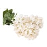 Hortensia - wit - 36 cm