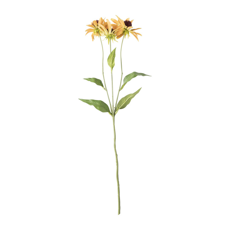 Black eye bloem - diverse kleuren - 68 cm 