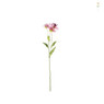 Black eye bloem - diverse kleuren - 68 cm 