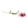 Black eye bloem - diverse kleuren - 68 cm 