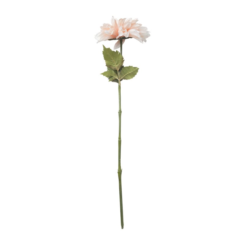 Dahlia - diverse varianten - 76 cm