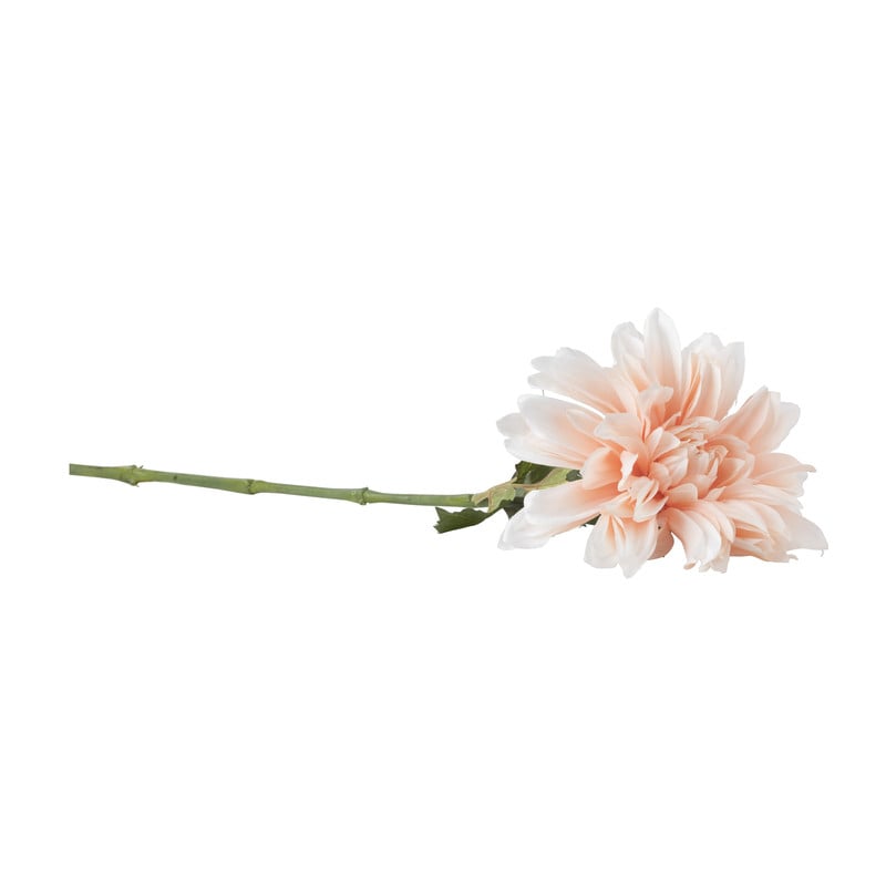 Dahlia - diverse varianten - 76 cm