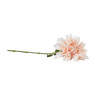 Dahlia - diverse varianten - 76 cm