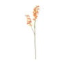 Kunstbloem orchidee - oranje - 72 cm
