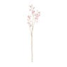 Kunstbloem orchidee - roze - 72 cm