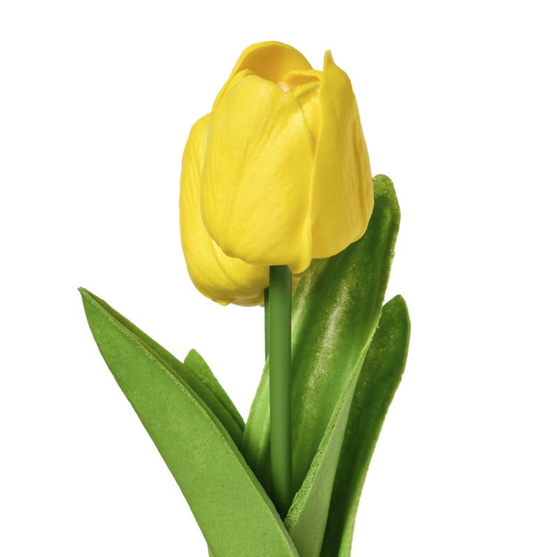 Tulpen in vaasje - diverse varianten - ø7x18 cm
