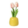 Tulpen in vaasje - diverse varianten - ø7x18 cm