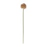 Kunstbloem allium - diverse varianten - 50 cm