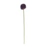 Kunstbloem allium - diverse varianten - 50 cm