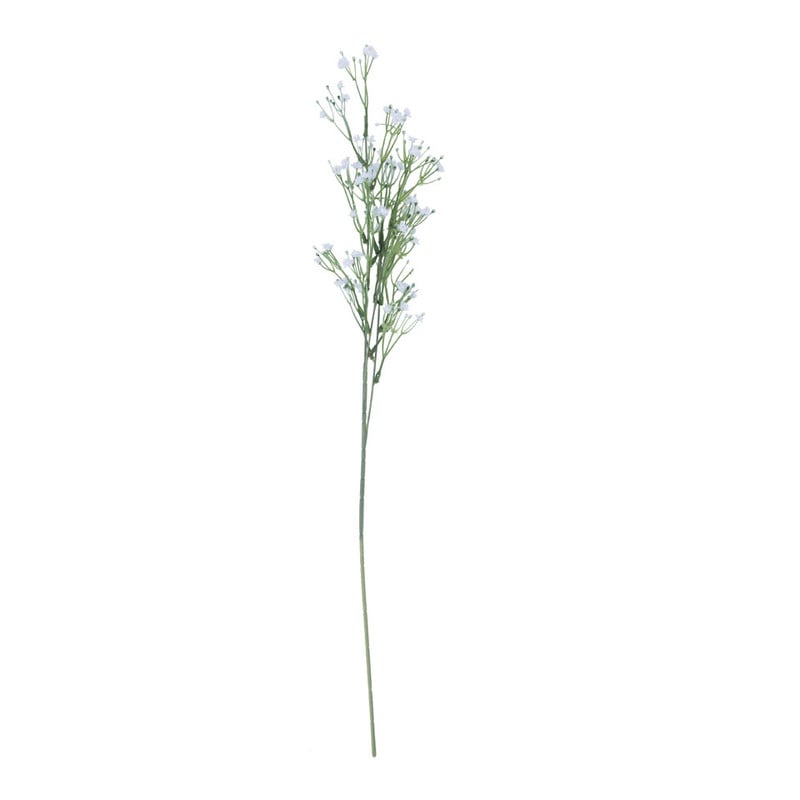 Gipskruid