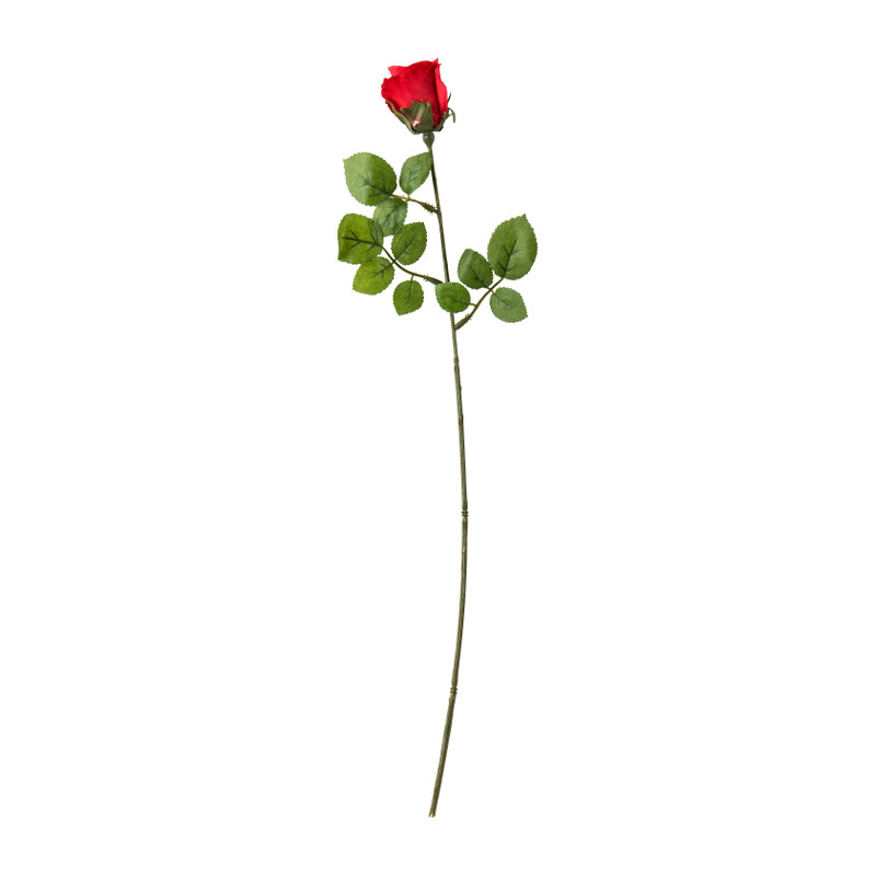 Mercedesroosje - rood - 49 cm