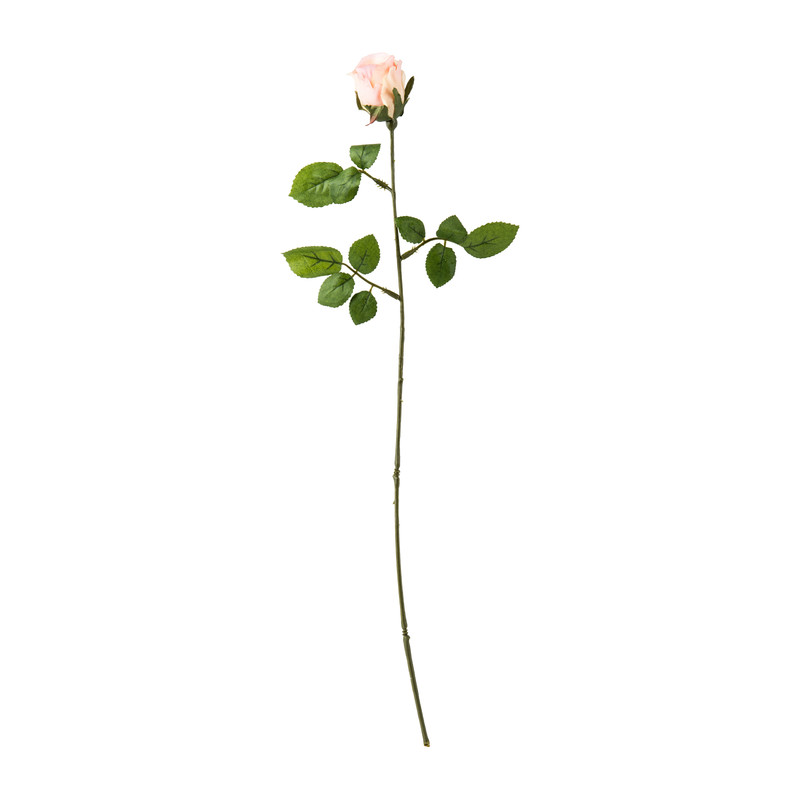 Mercedesroosje - roze - 49 cm