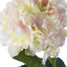 Hortensia - crème