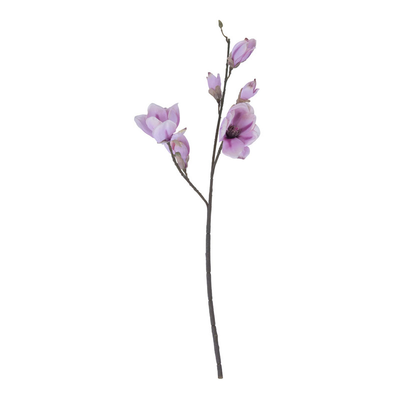 Magnolia - roze