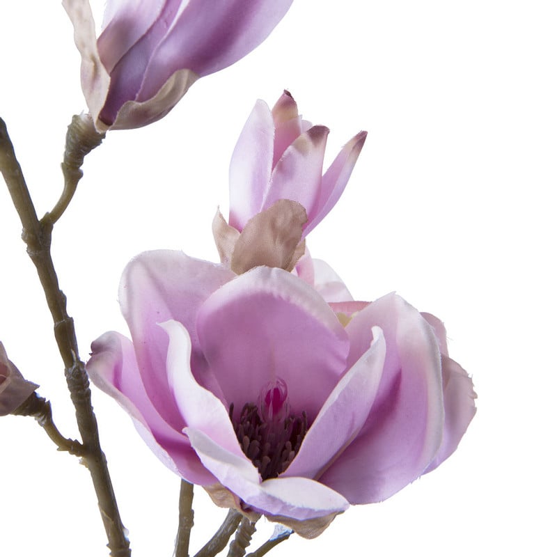 Magnolia - roze