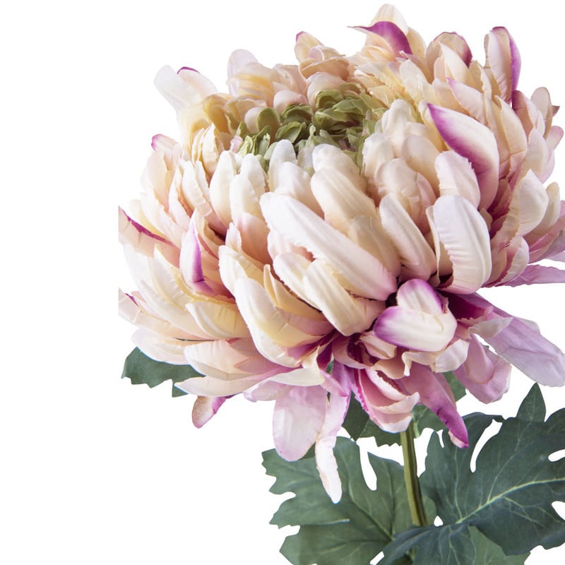 Bolchrysant - roze