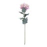 Bolchrysant - roze