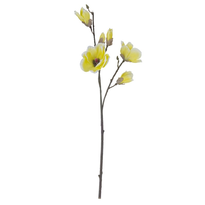 Magnolia - geel