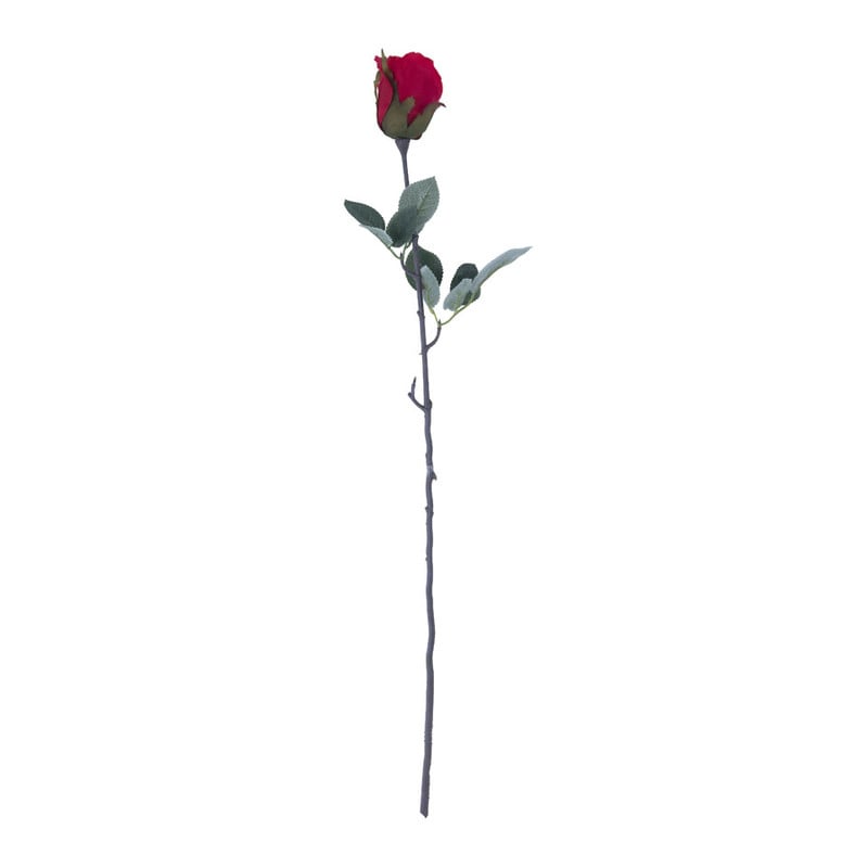 Roos - rood