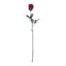 Roos - rood