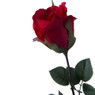 Roos - rood