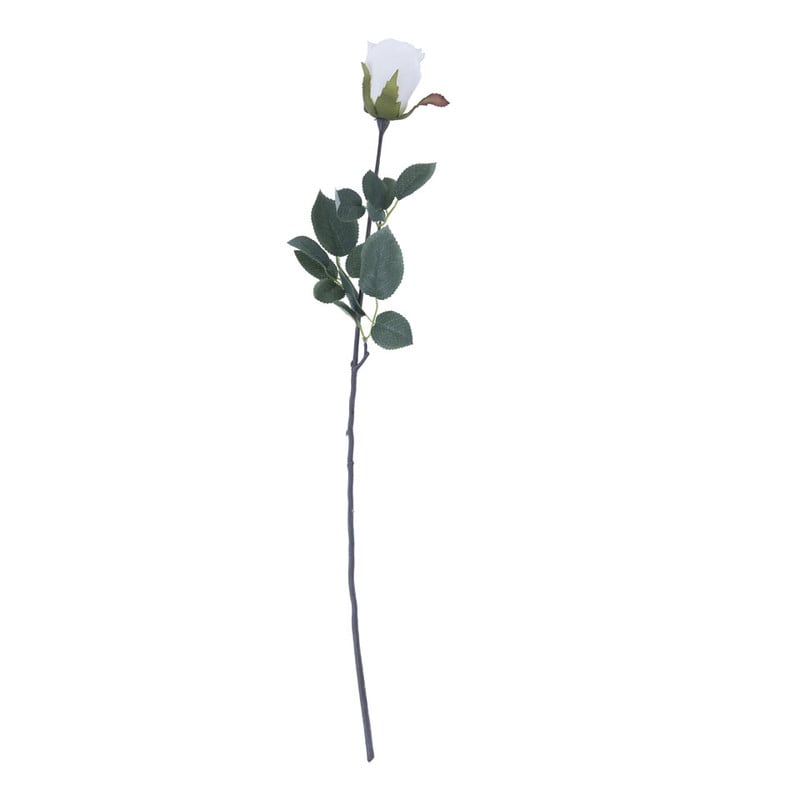 Roos - wit