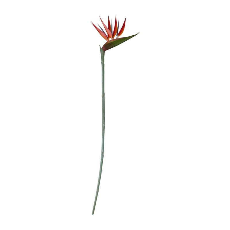 Bird of paradise - 70 cm