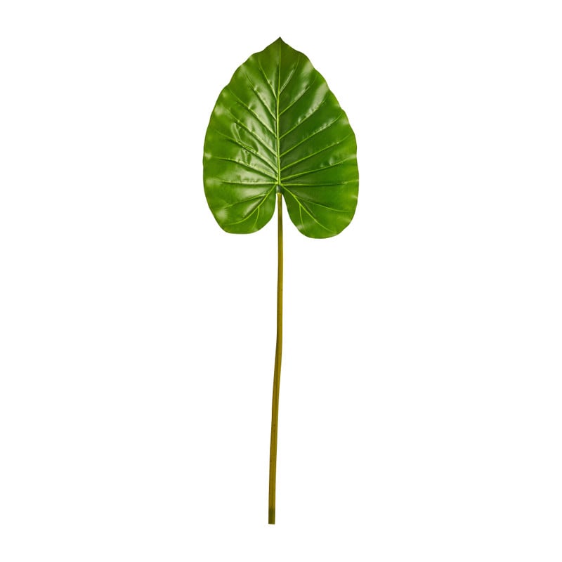 Philo blad - 2 varianten - 82 cm 