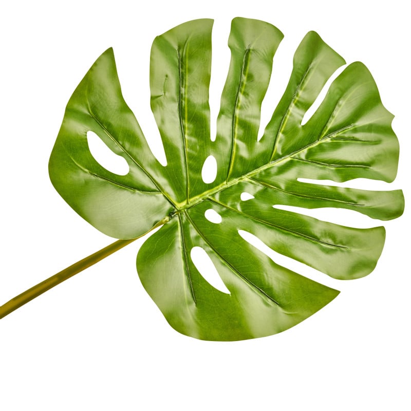 Philo blad - 2 varianten - 82 cm 