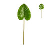 Philo blad - 2 varianten - 82 cm 