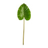 Philo blad - 2 varianten - 82 cm 